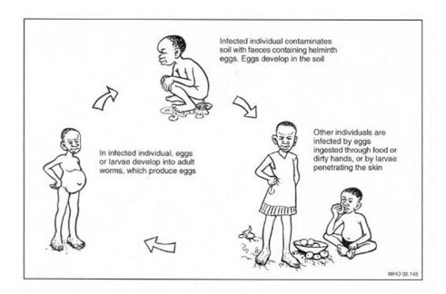 cycle