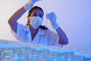 DENGUE. TRABAJO DE LABORATORIO 2