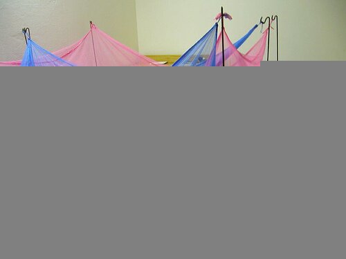 bed_net